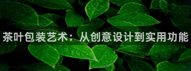 金年会澳门6766