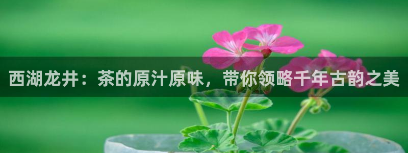 金年会软件在线下载