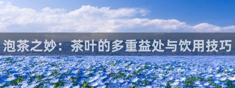 金年会在线下载