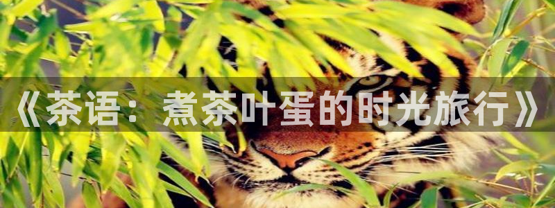 金年会APP下载