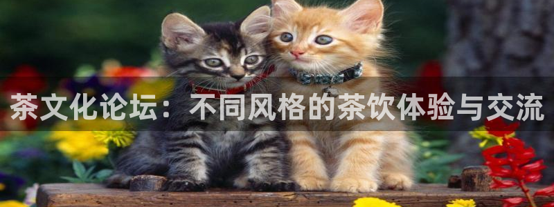 金年会赞助西甲