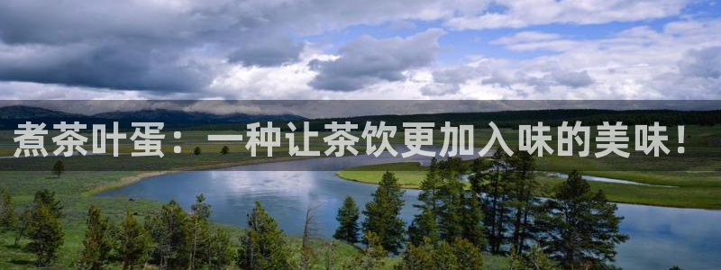 金实年会