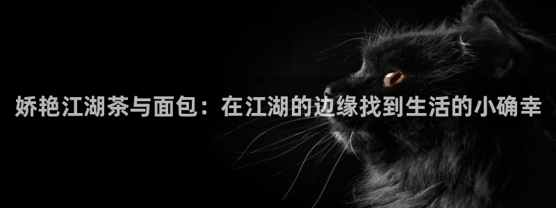体育金年会