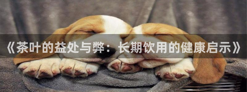 金年会体育平台入口