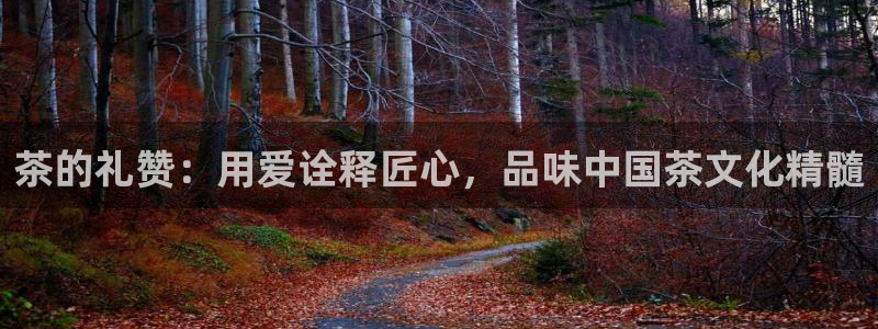 金年会官网