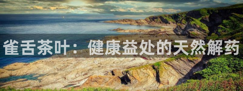 金年会体育平台入口