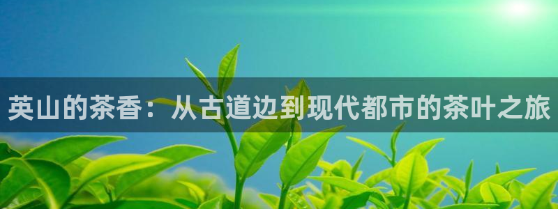 金年会官方客服