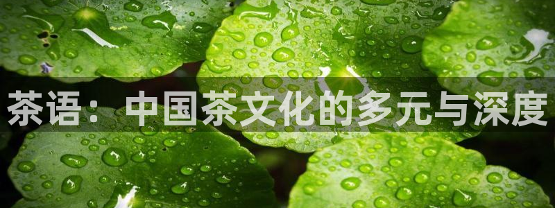 6766金年会