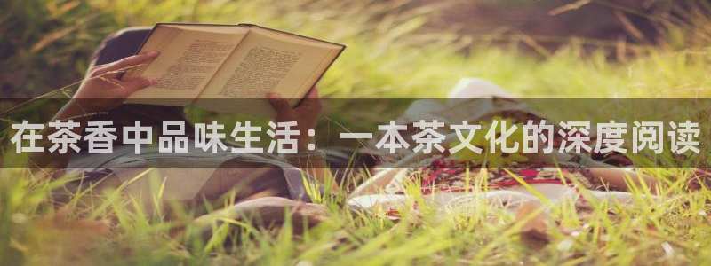 金年会最新登录