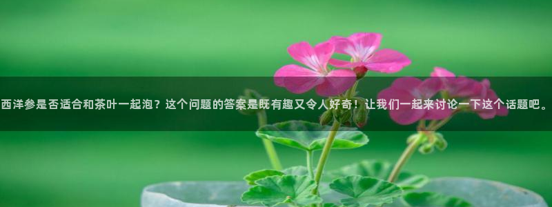 金年会官方