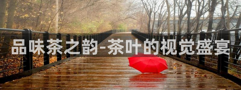 金年会APP安装下载
