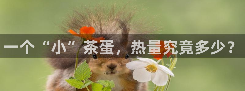 金年会体育app