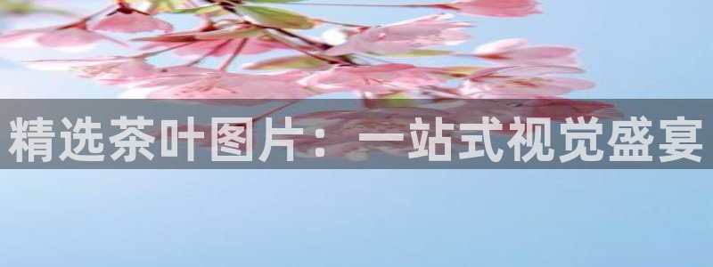 金年会官方客服