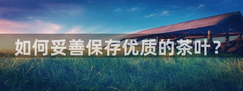 金年会是啥