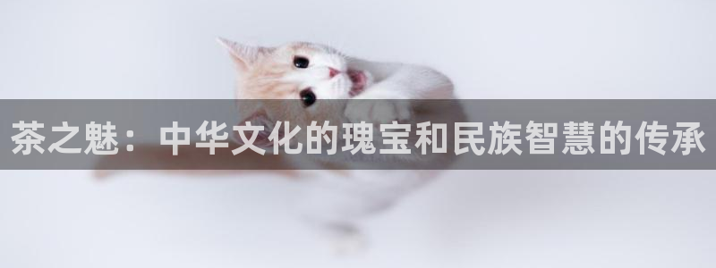 金年会官方网站入口