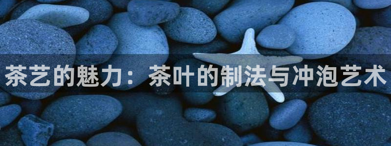 金年会娱乐下载app