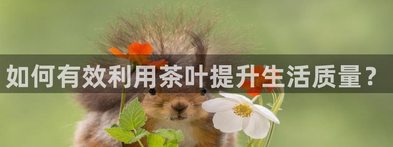 金年会活动