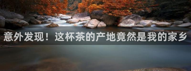 金年会最新下载