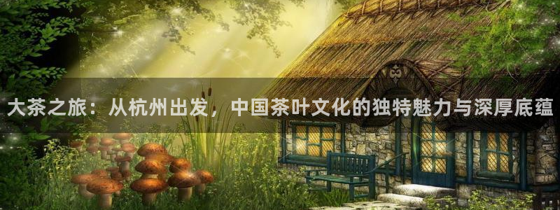 金年会体育娱乐
