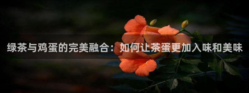 金年会APP黑钱