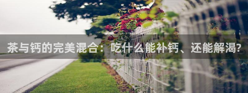金年会平台是真的吗