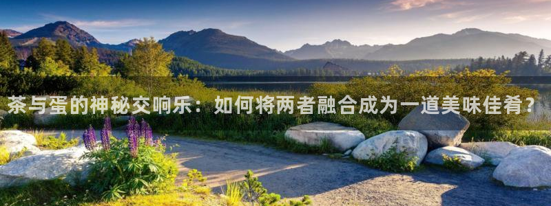 金年会彩票软件