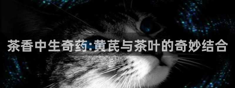 金年会原名