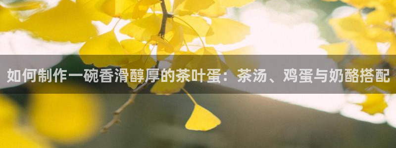 金年会综合APP