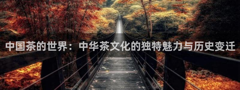 金年会娱乐官网