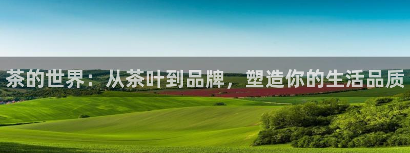 金年会入口网站