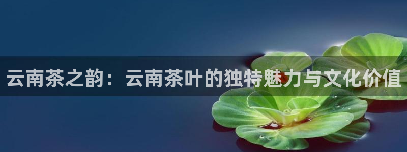 宝金年会