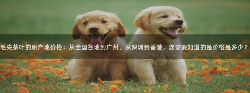 年会金句心得