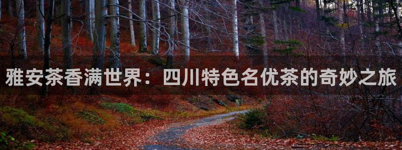 金年会jinnian