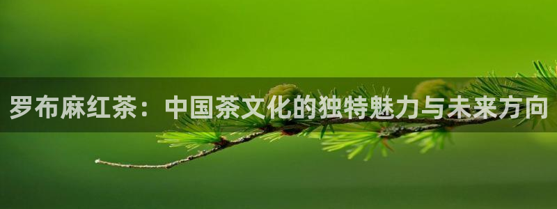 金年会取款