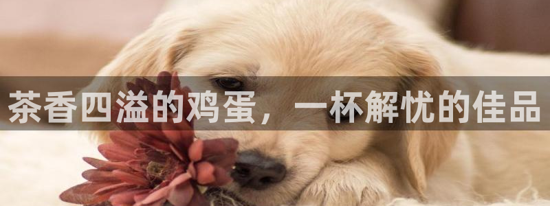金年会开户