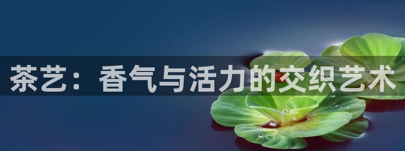 金金年会