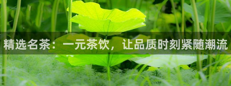 金年会活动策划
