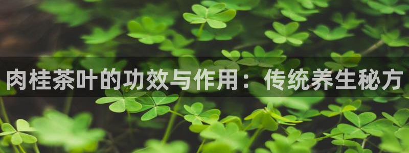 金年会手机网页版登录