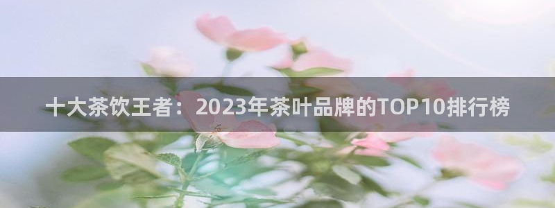 金年会最新下载
