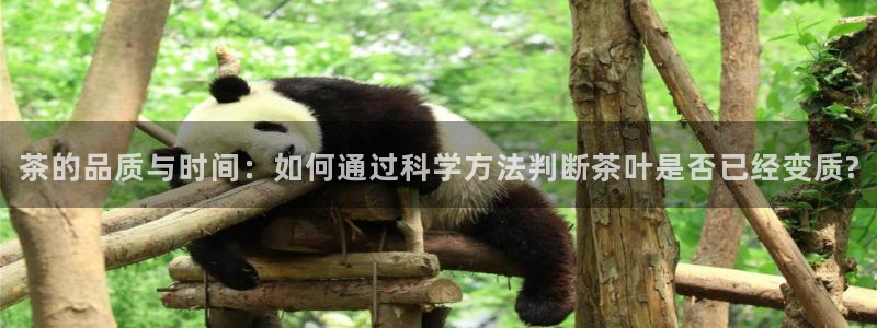 6766金年会