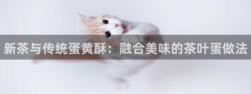 金年会官方网站登录