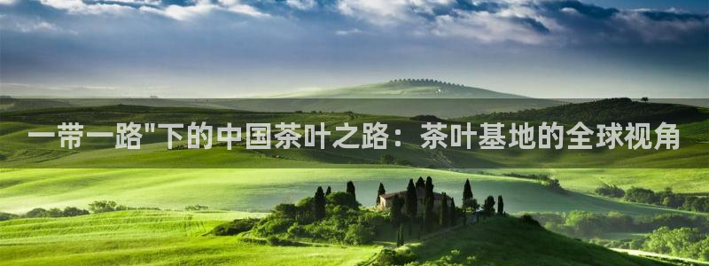 金哥年会