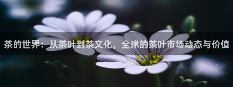 金年会体育苹果下载