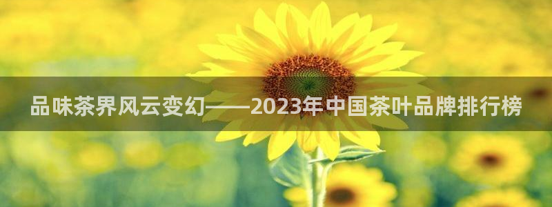 金年会信誉