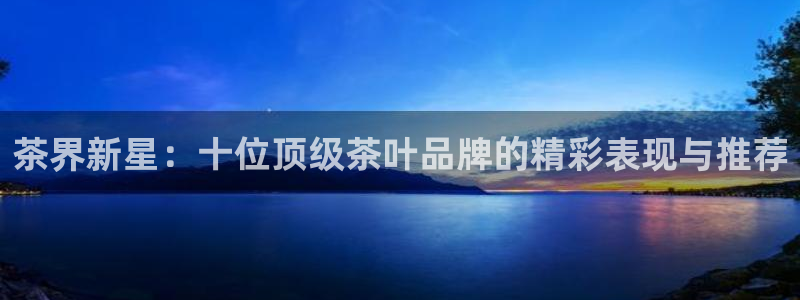 金年会 平台
