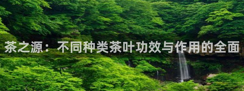 金年会品牌