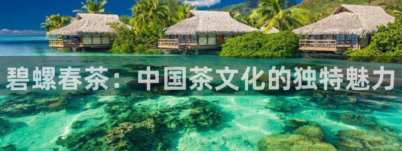 金年会软件在线下载
