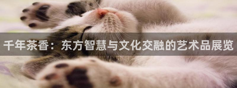 金年会网页版登陆