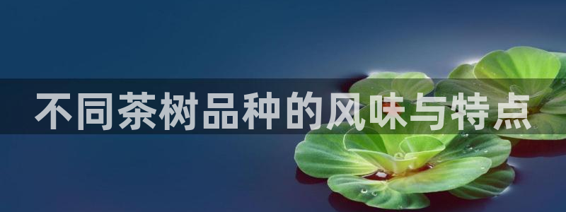 金年会官