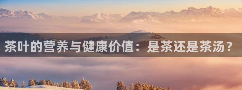 金年会活动